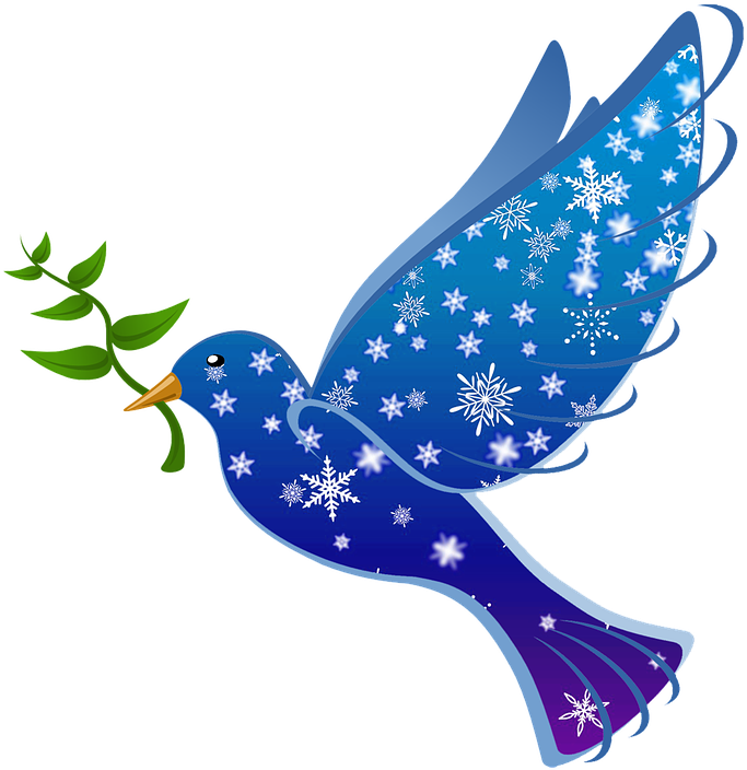 Peace Pigeon PNG Pic