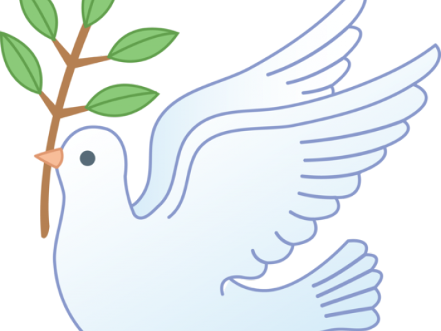 Peace Pigeon PNG Picture