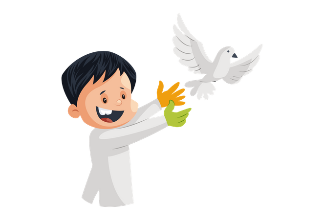 Peace White Pigeon Transparent PNG