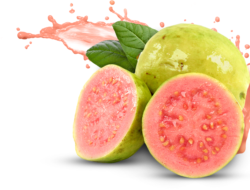 Pink Guava PNG File