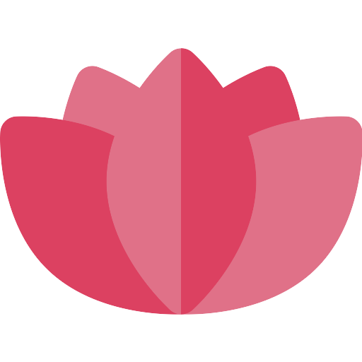 Pink lotus flower Transparan PNG
