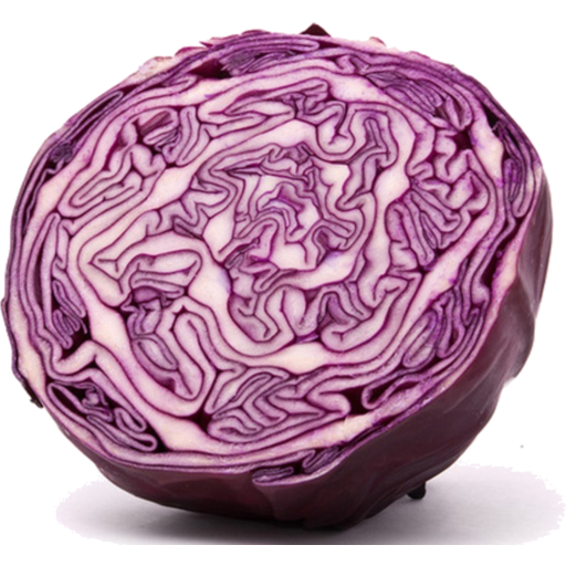 Purple Half Cabbage PNG File