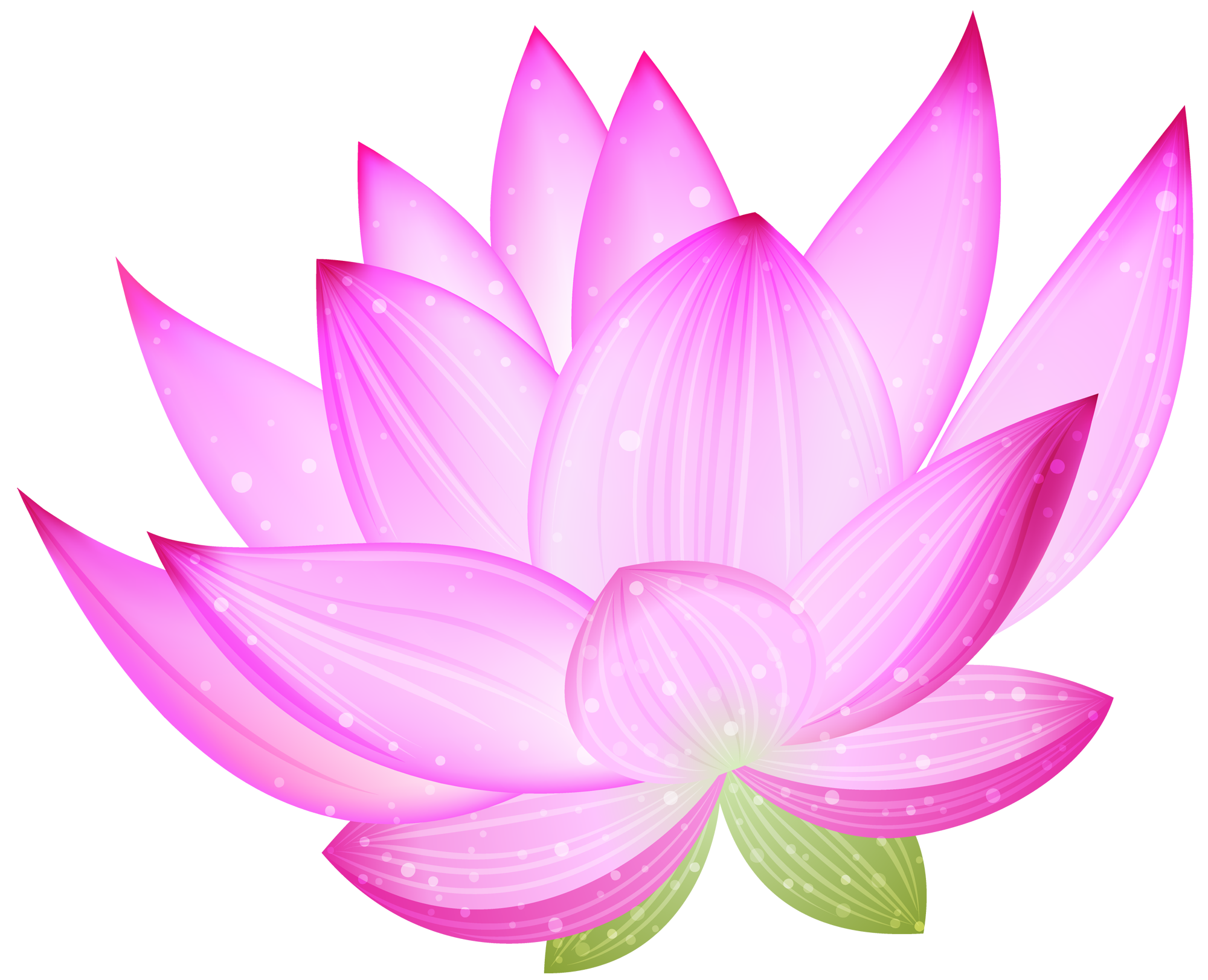 Purple Fleur de lotus Transparent PNG