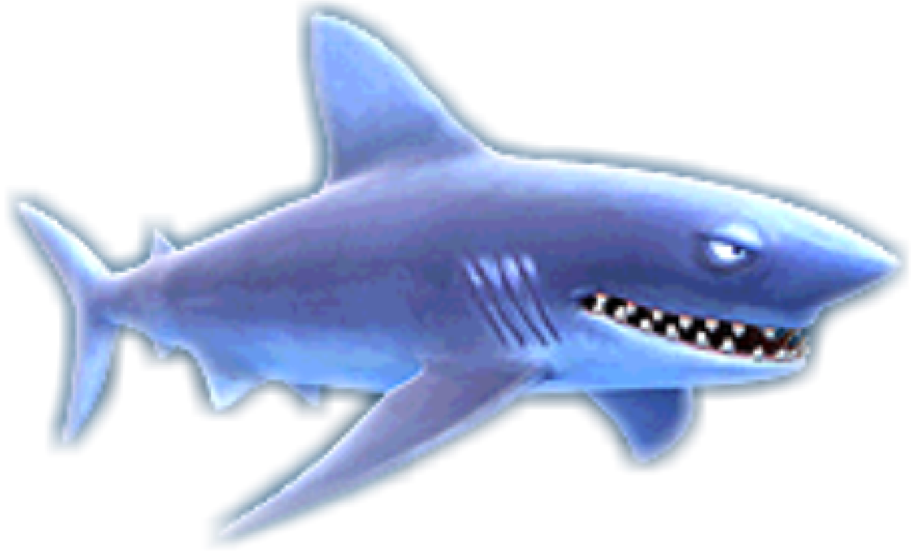 Real Shark PNG Clipart