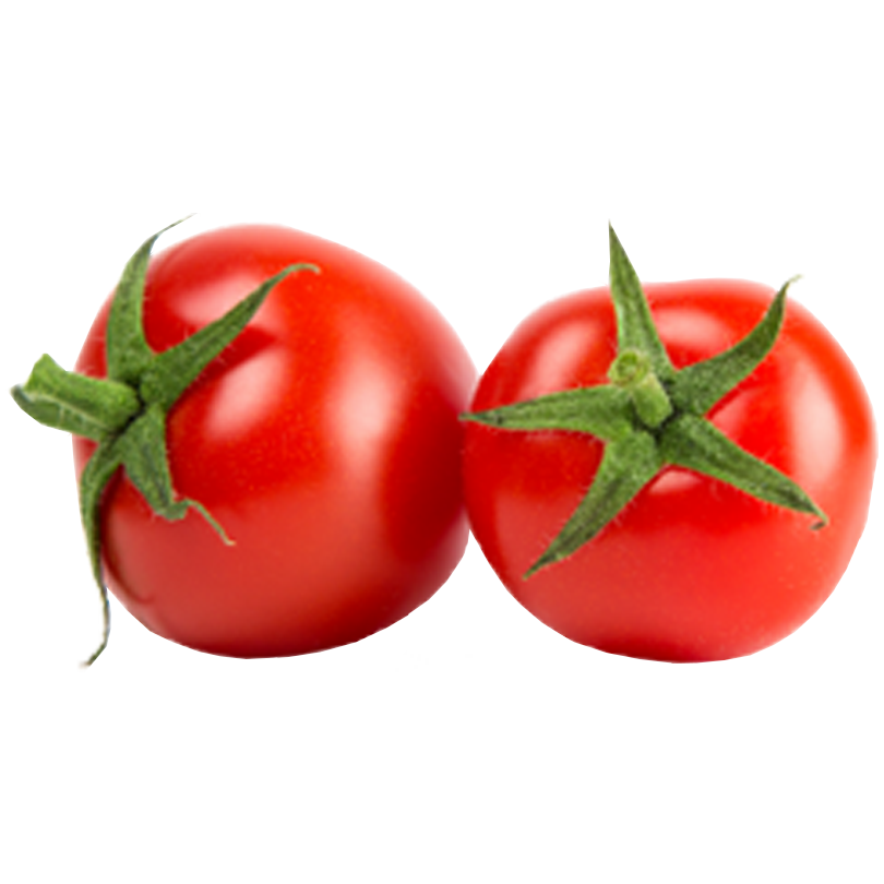 Red Fresh Tomatoes Bunch PNG Photos