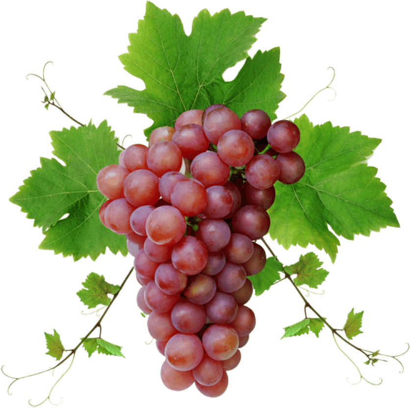 Red Grapes PNG Photos