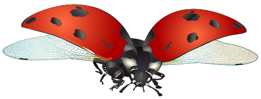 Gambar PNG Red Ladybug Serangga