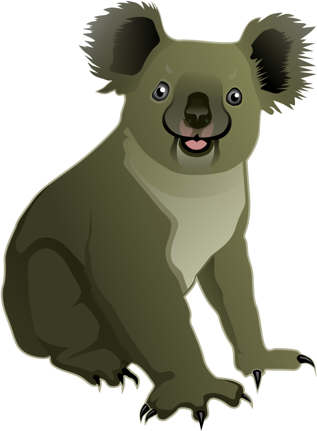 Vector koala PNG Clipart