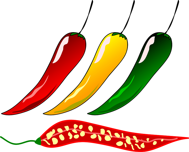 Vector Green And Red Chilli PNG File