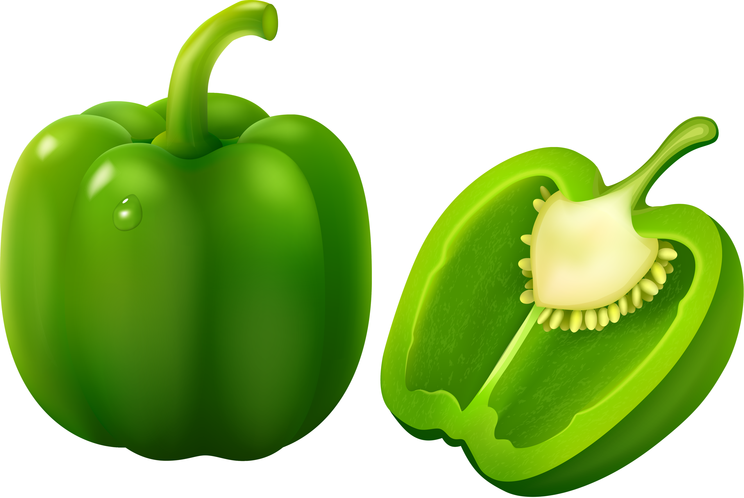 Vector Green Bell Pepper PNG File