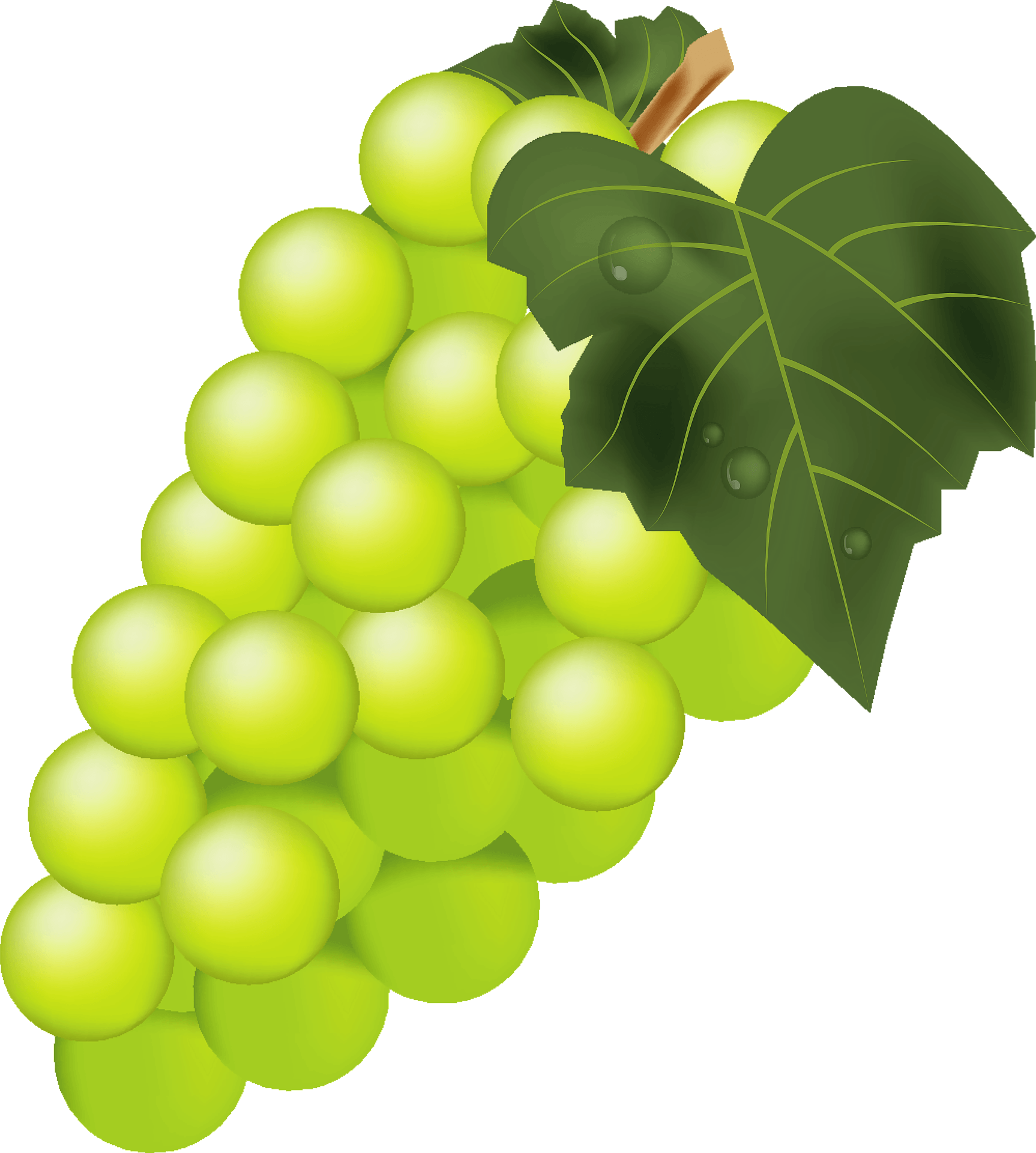 Vector Green Grapes PNG File