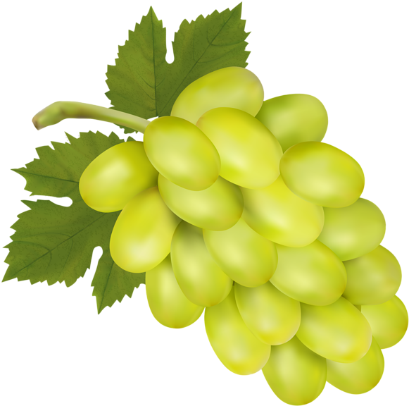 Vector Green Grapes PNG Image