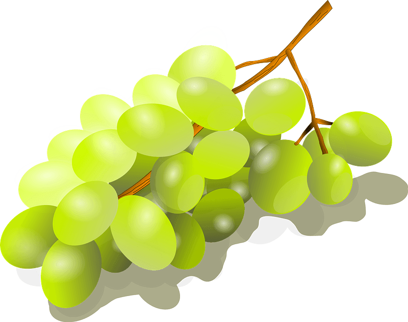 Vector verde uvas PNG imagen transparente