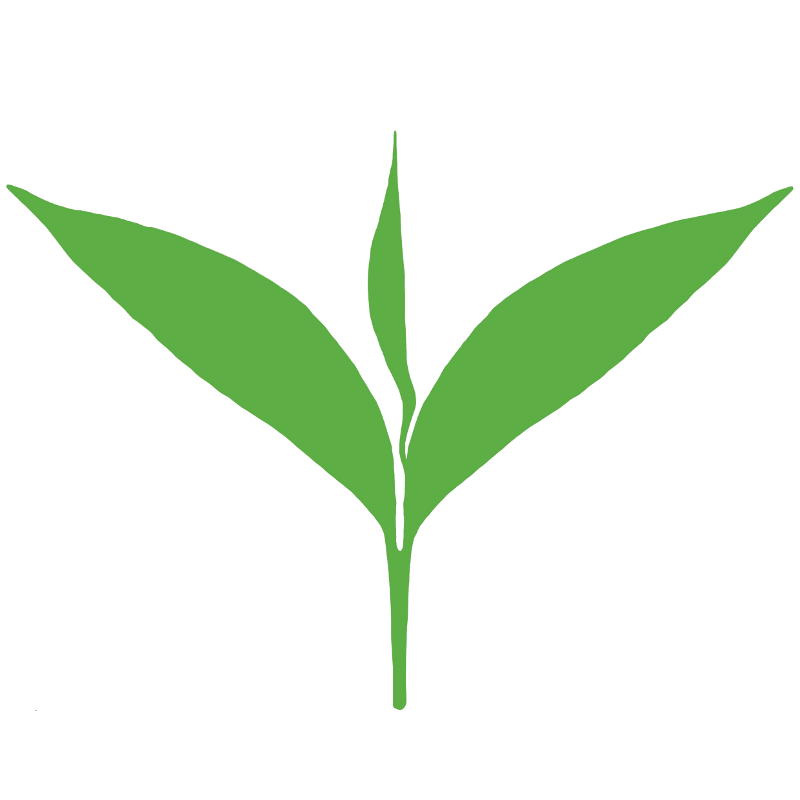 Vector Green Tea Leaves PNG Transparent Image
