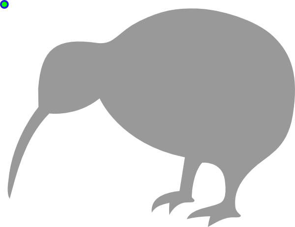 Vector kiwi vogel PNG-afbeelding