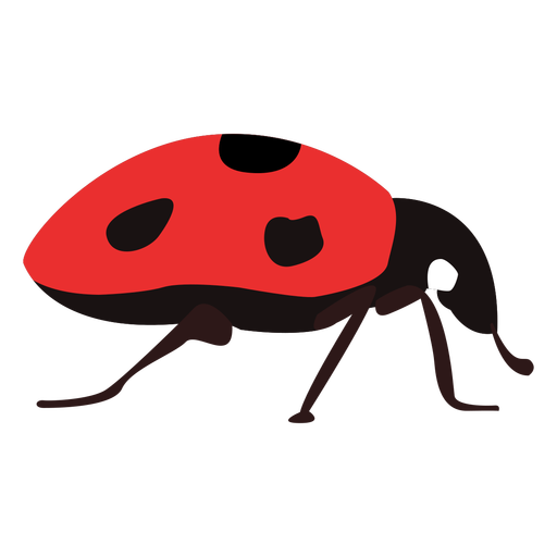 เวกเตอร์ Ladybug แมลง PNG ภาพตัดปะ