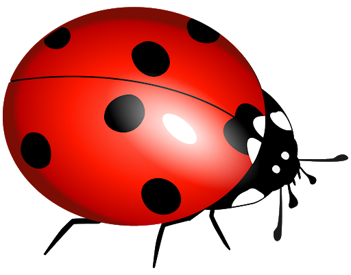 Vektor ladybug serangga PNG unduh gratis