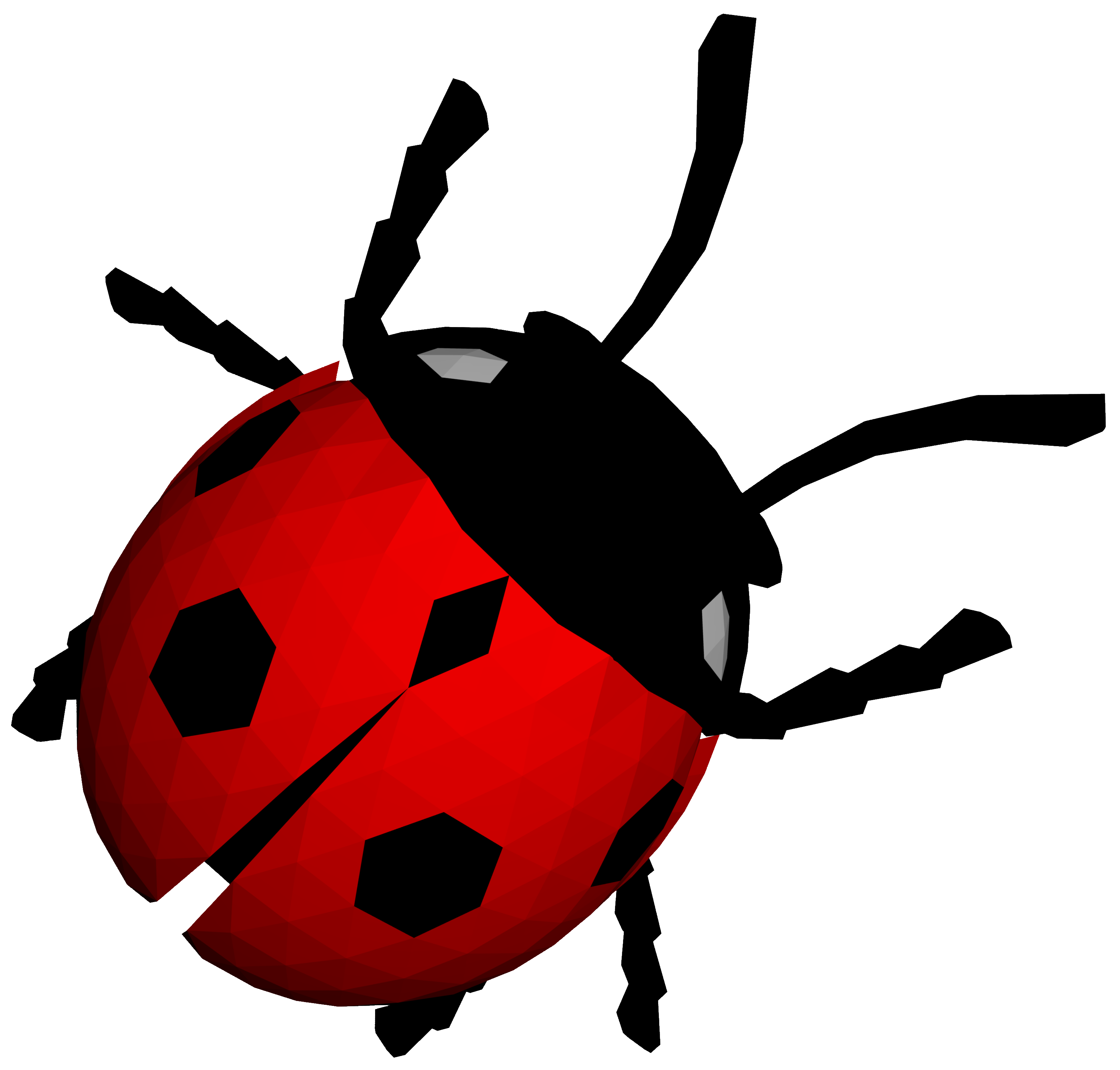 Foto Vektor Ladybug Serangga Foto PNG