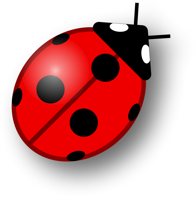 Vector Ladybug Insect Transparent PNG