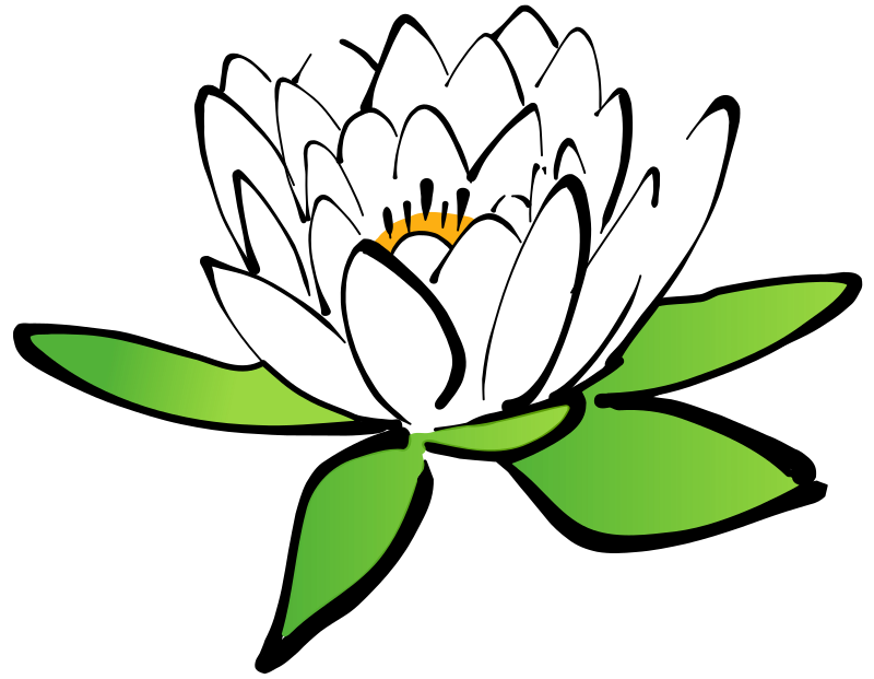 Immagine Trasparente del fiore del fiore del loto di vettore