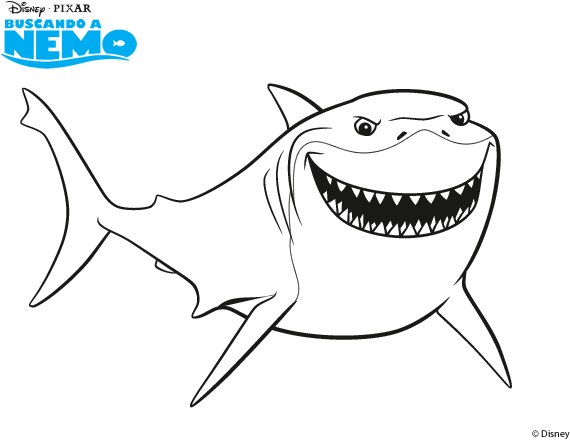 Vector Nemo Shark PNG Image