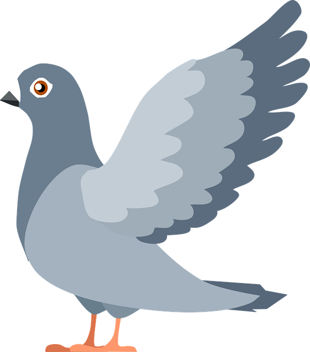 Vector Peace Pigeon PNG HD