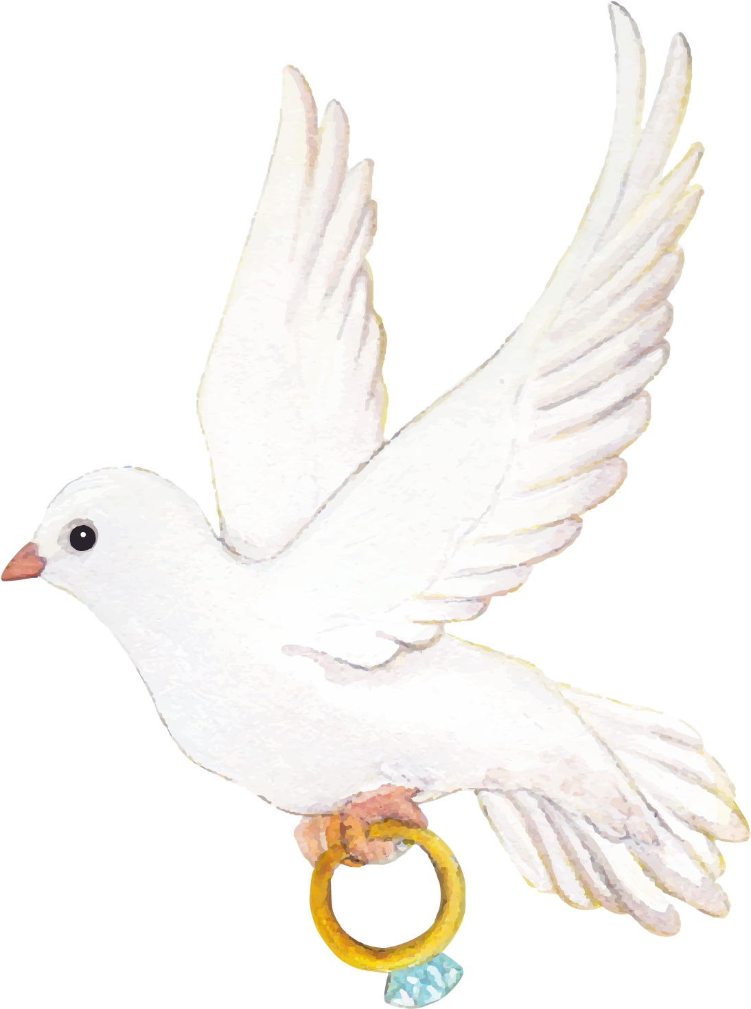 Mga larawan ng Kasal Pigeon PNG