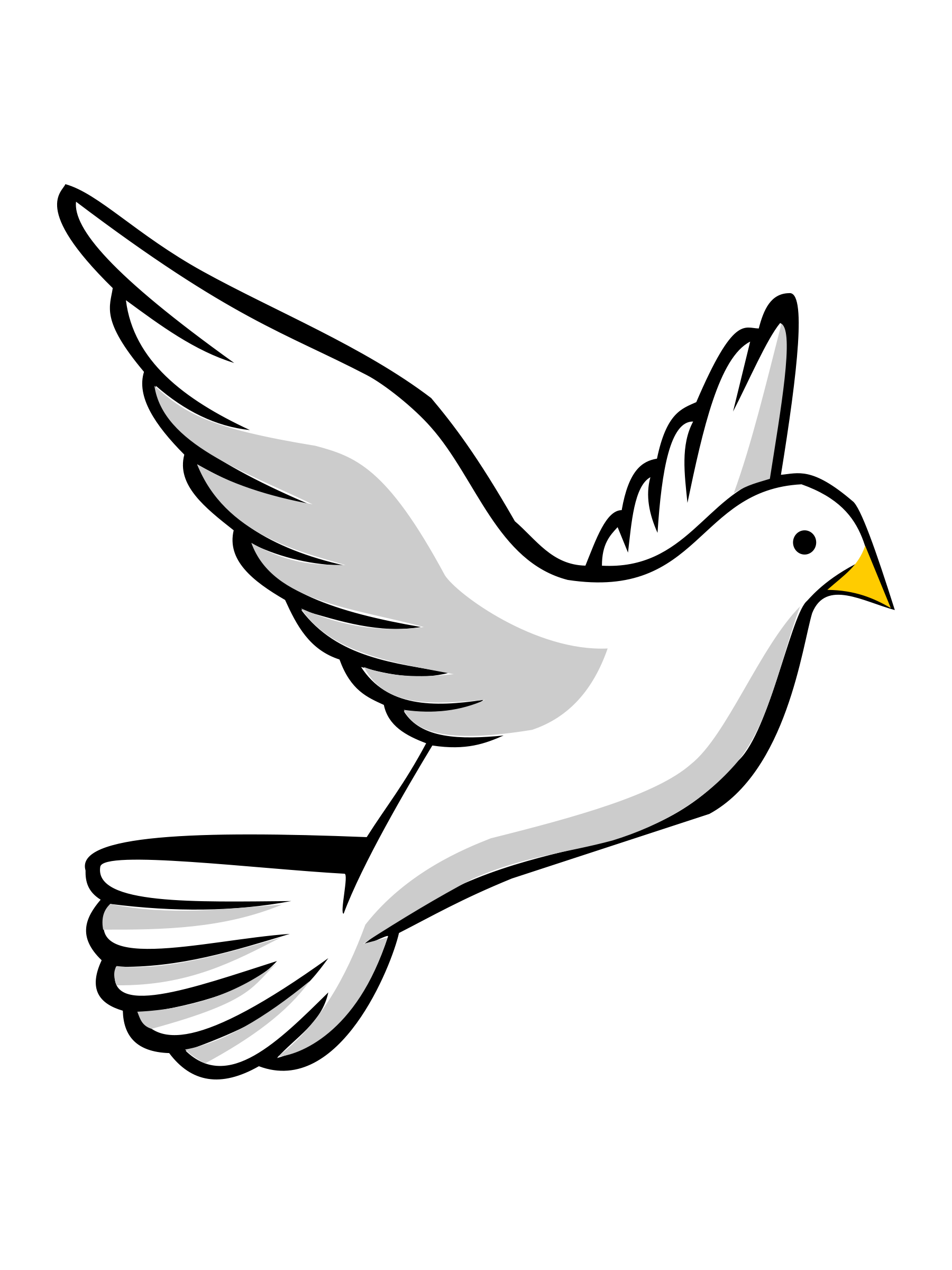 Blanc Pigeon PNG Téléchargement Gratuit