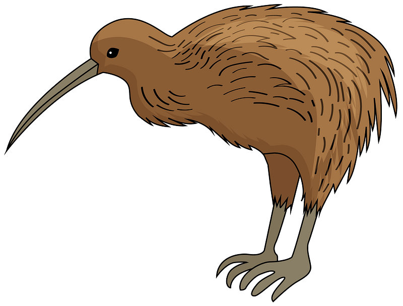 Wild Kiwi vogel PNG Clipart