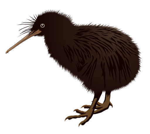 Wilde kiwi vogel Transparant PNG