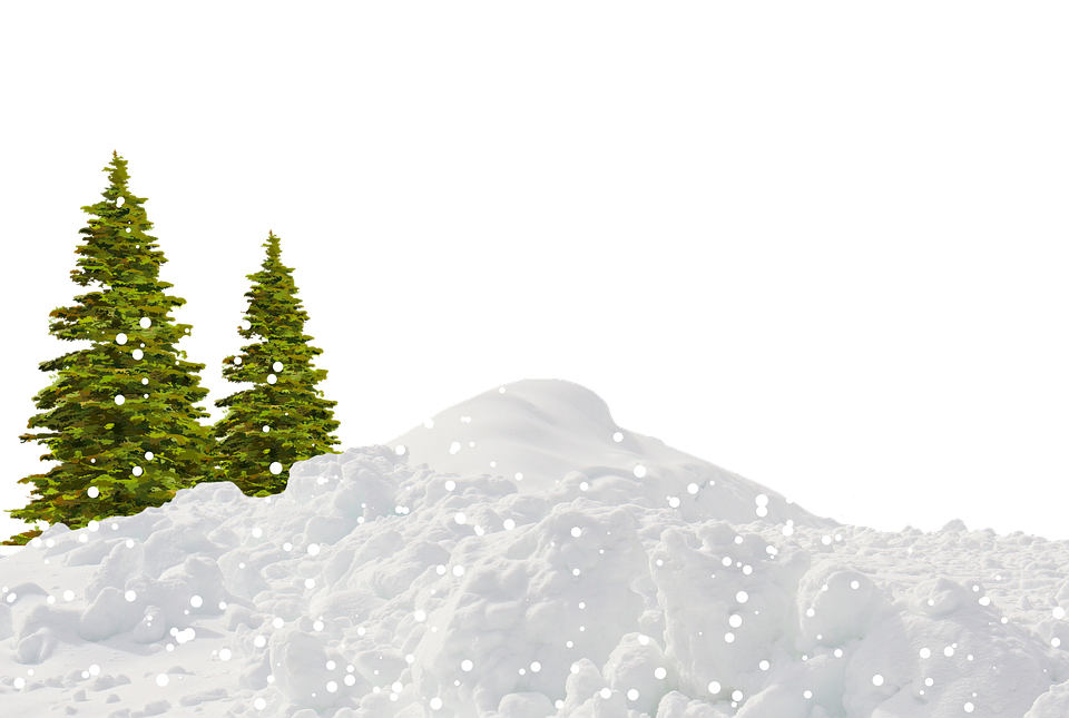 Winter Tree PNG Image