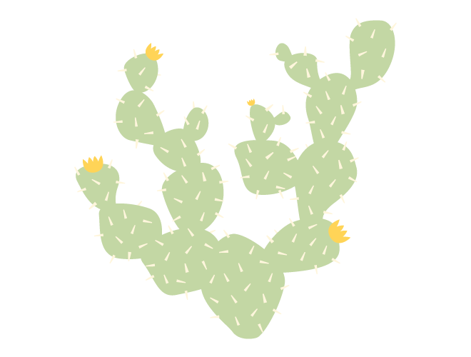 African Prickle PNG Pic
