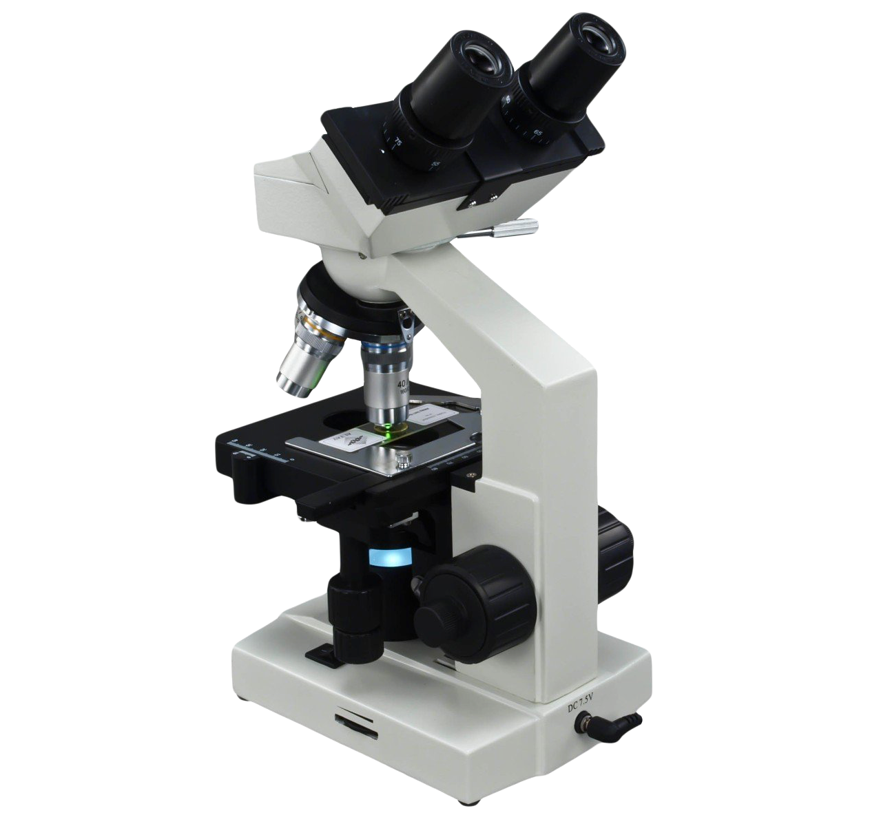Arquivo de PNG microscópio básico