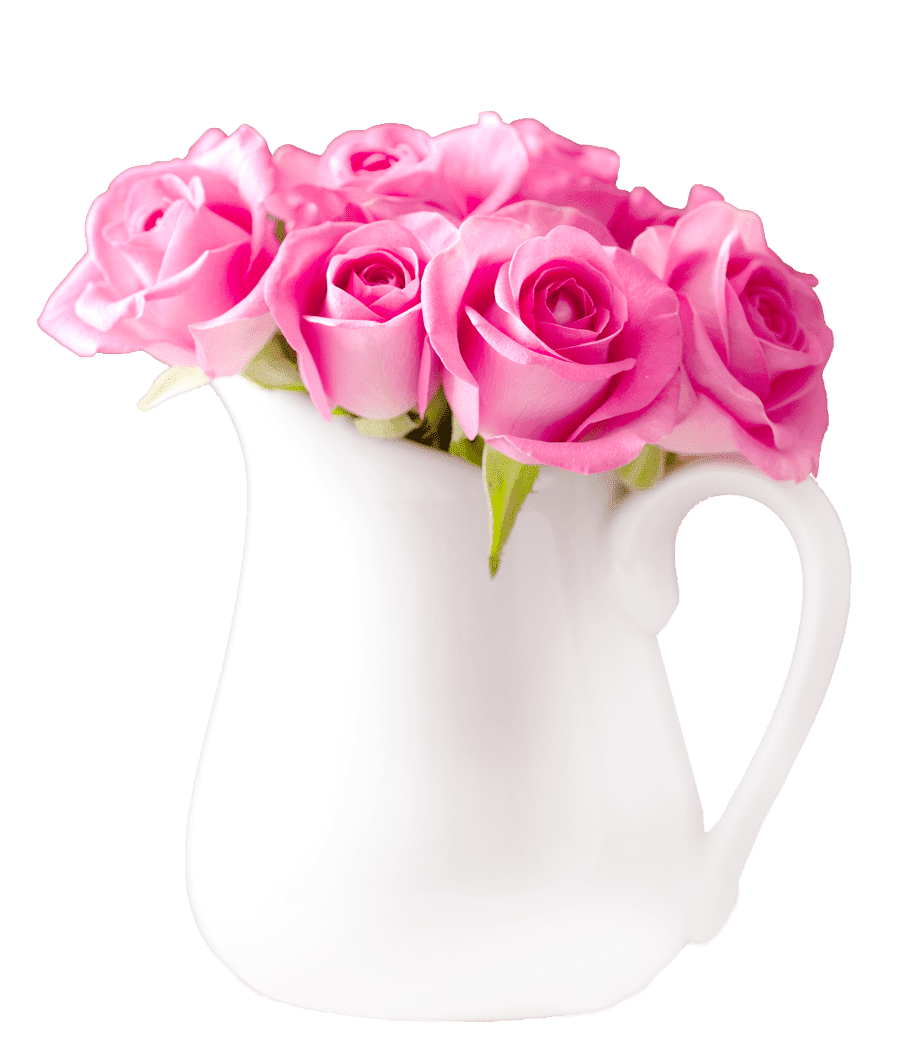 Blossom Pink Rose Flower Bunch PNG Photos