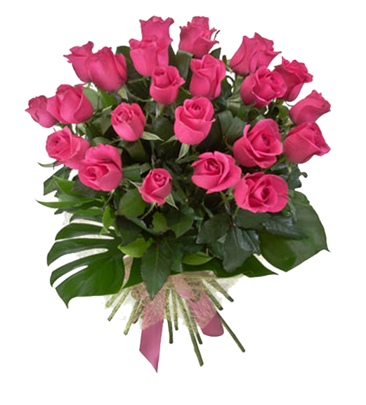 ดอกกุหลาบสีชมพูดอกไม้พวงโปร่งใส PNG