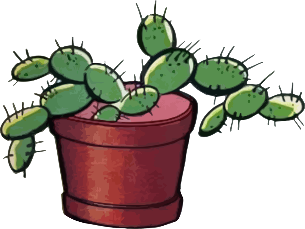 Unduh Gratis Cactus Prickle PNG