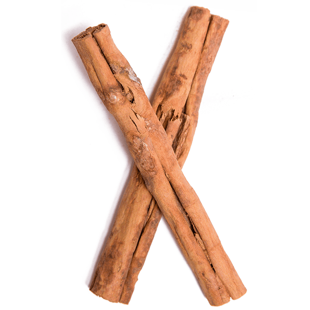 Cinnamon Stick PNG Image