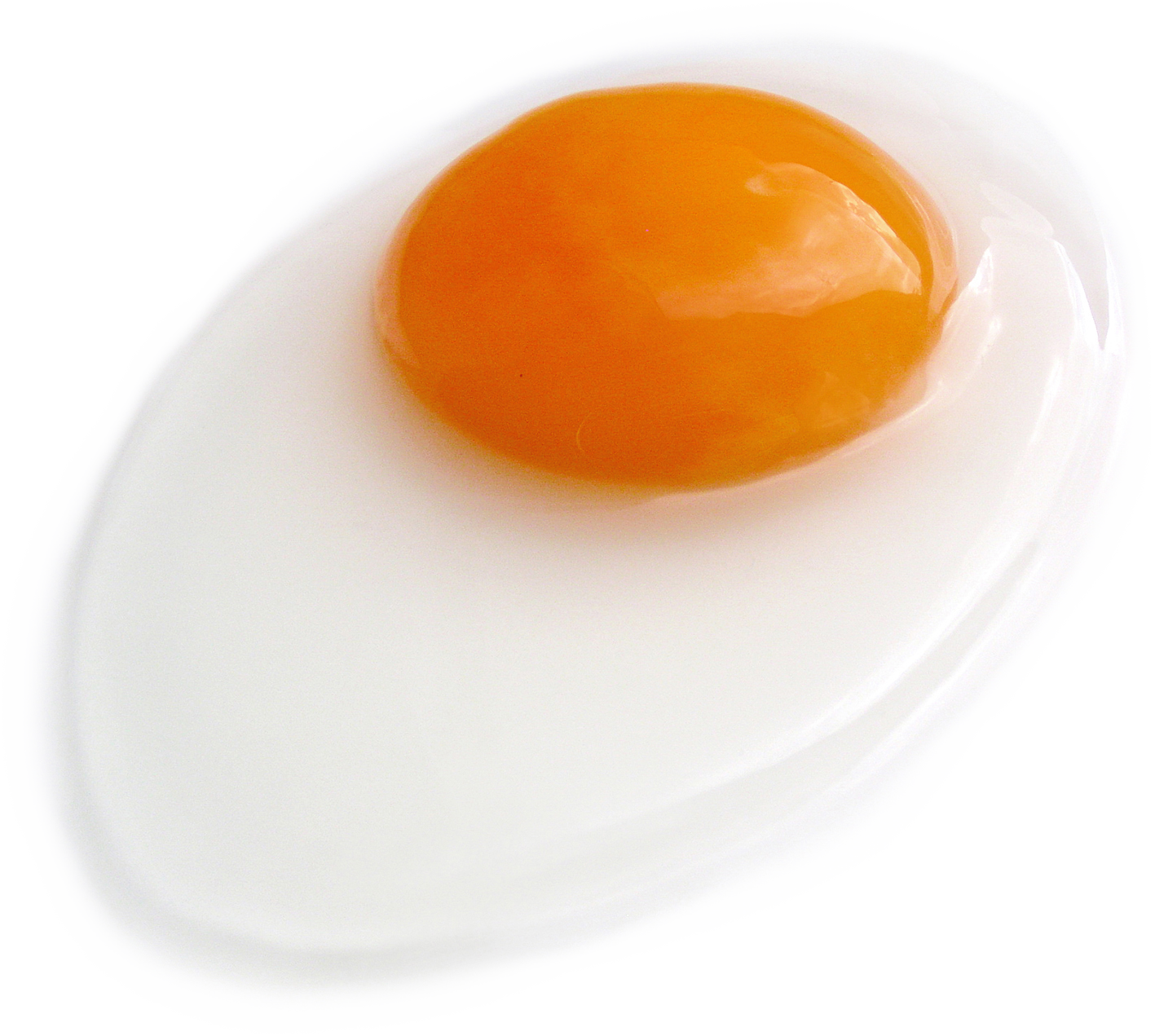 Crispy Fried Egg PNG Pic