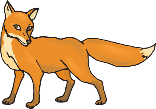 Cute Fox vector PNG Image