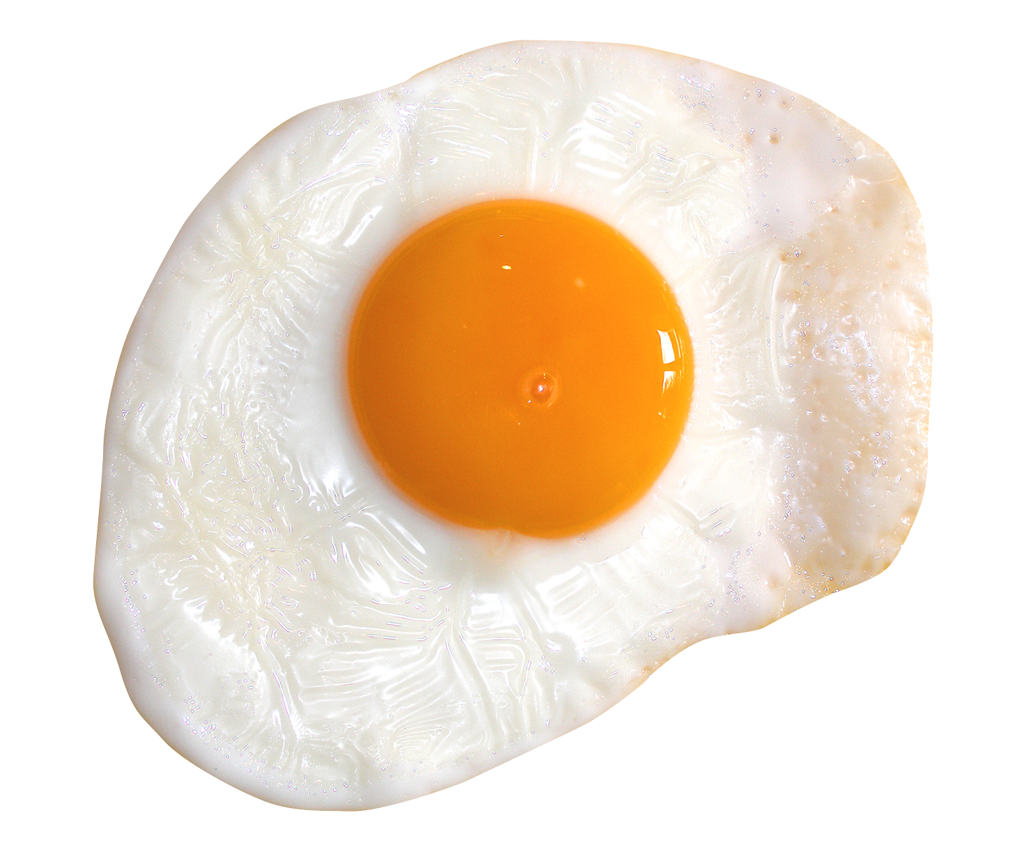 Egg Fried PNG HD