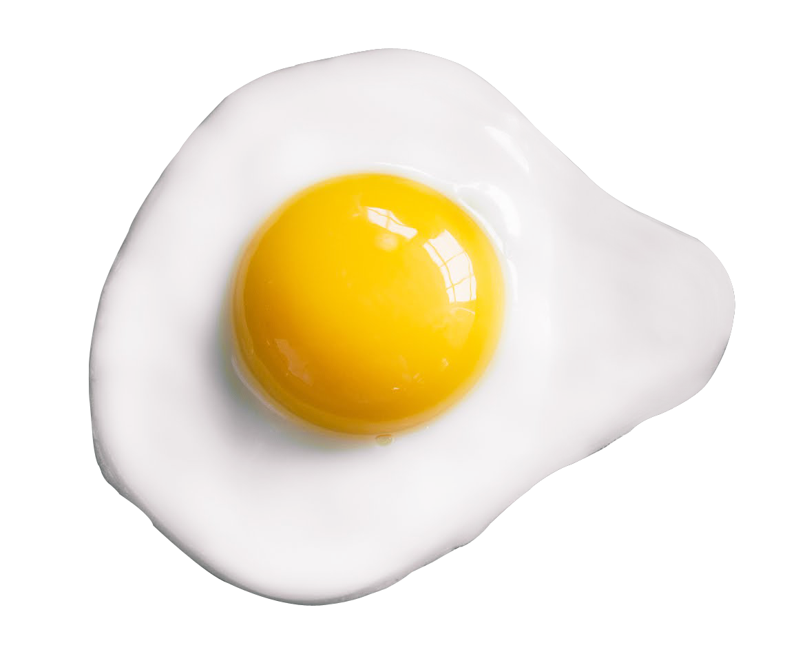 Fundo transparente fritado ovo
