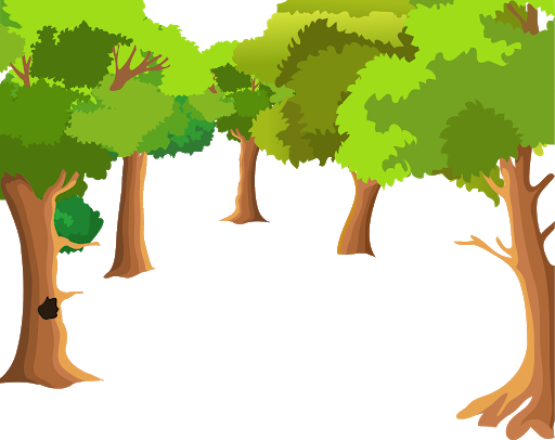 Forest Tree Vector Transparent PNG