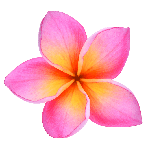 Fleur de Frangipani PNG Image Transparente
