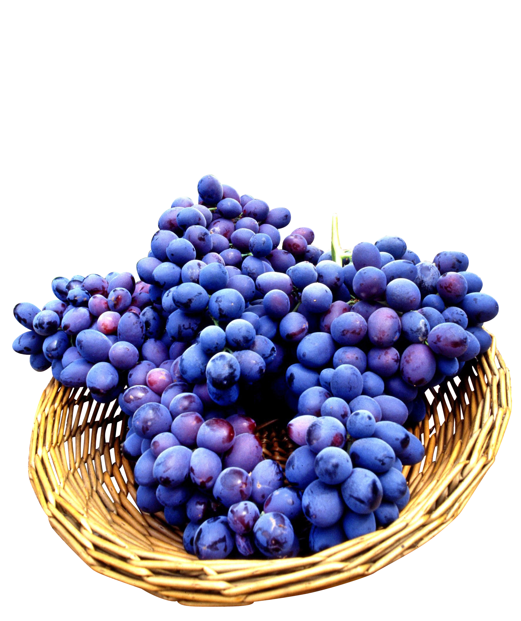 Fresh Fruit Basket PNG Pic