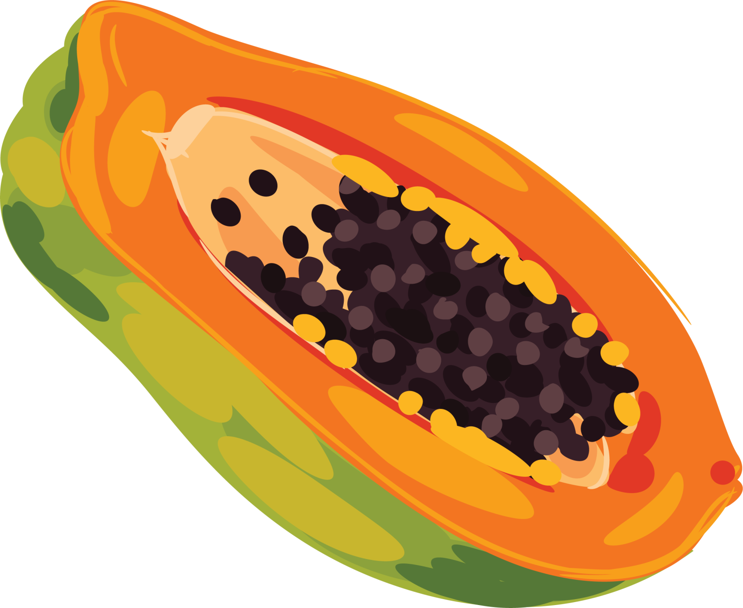 Fresh Half Papaya PNG File