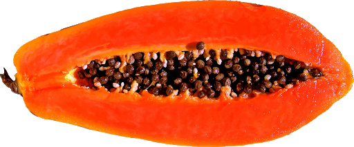 Fresh Half Papaya PNG Kostenloser Download