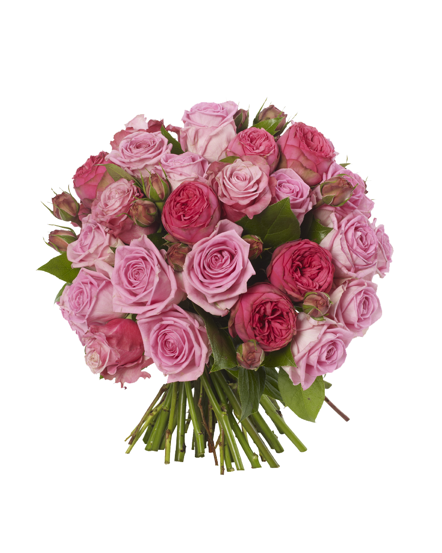 Bouquet di rosa fresco PNG Clipart