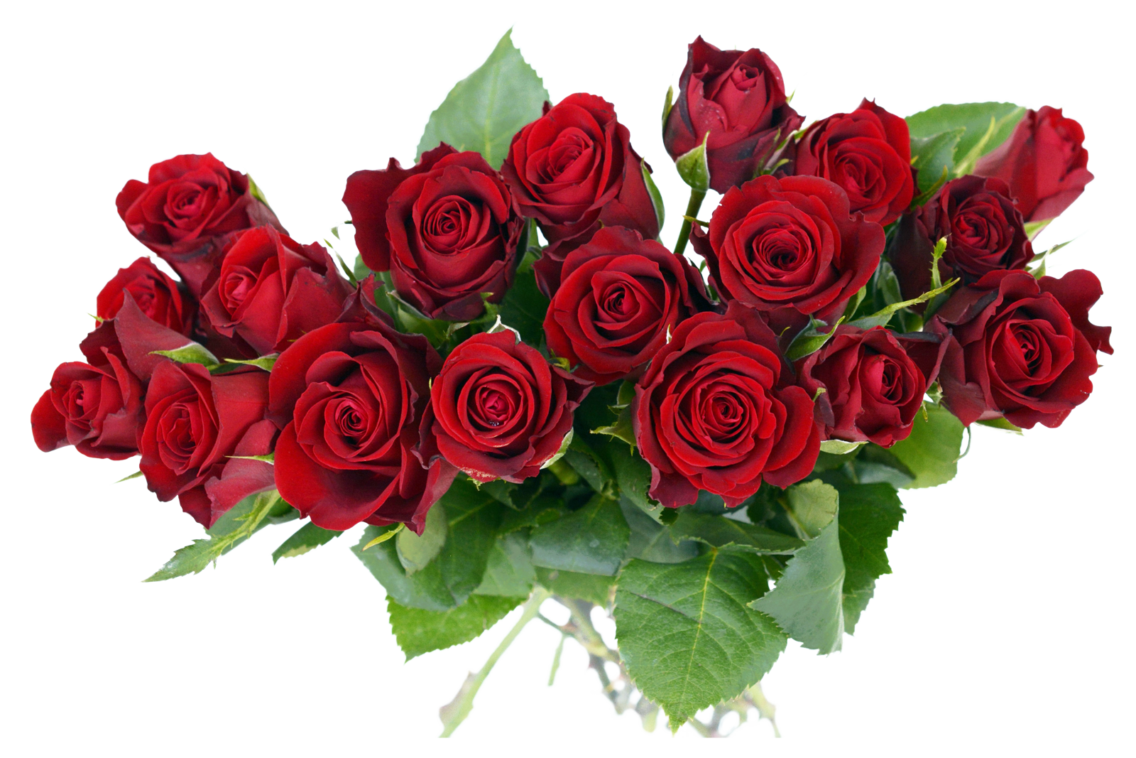 Bouquet de rose frais PNG Image Transparente
