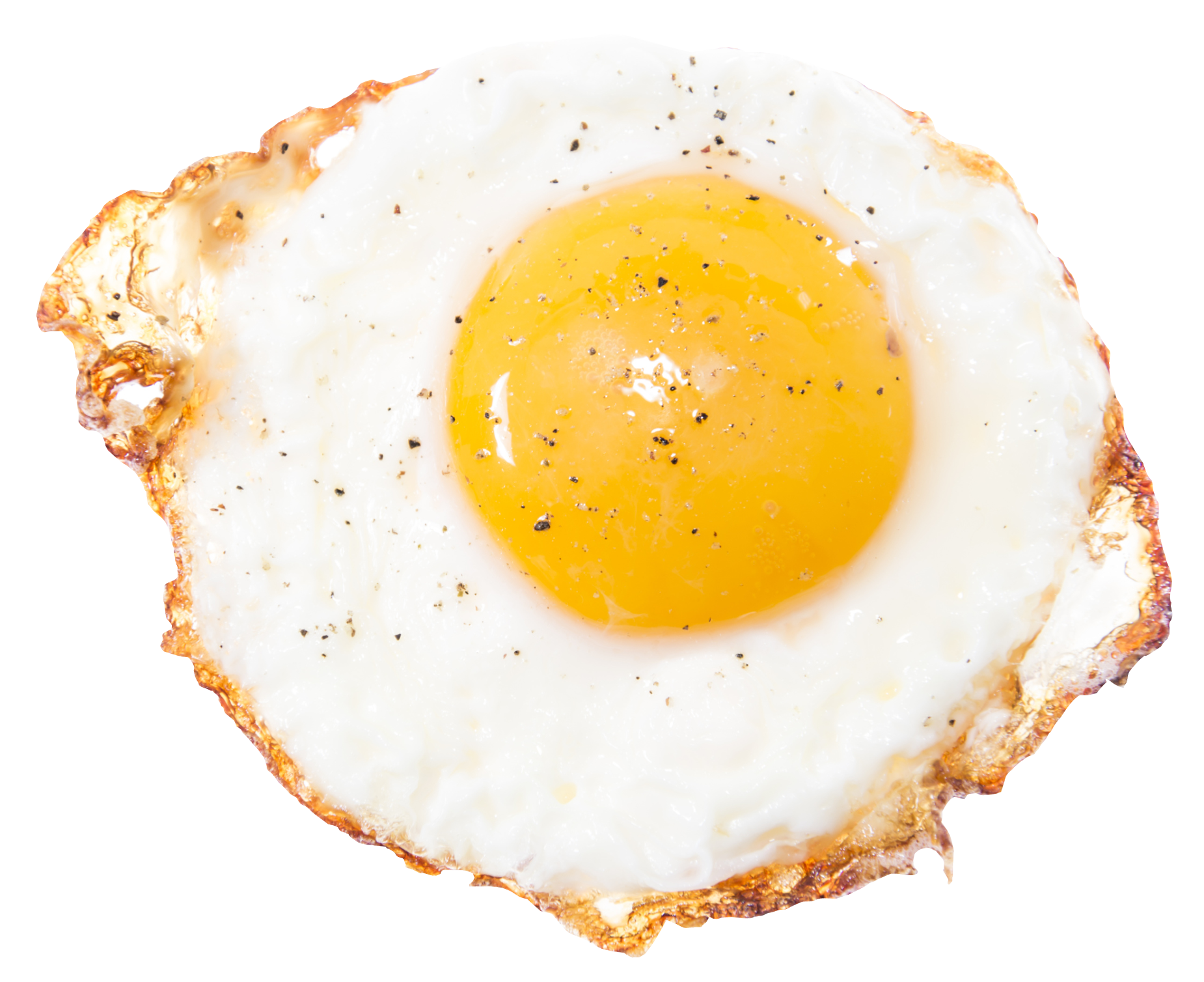 Fried Egg PNG File