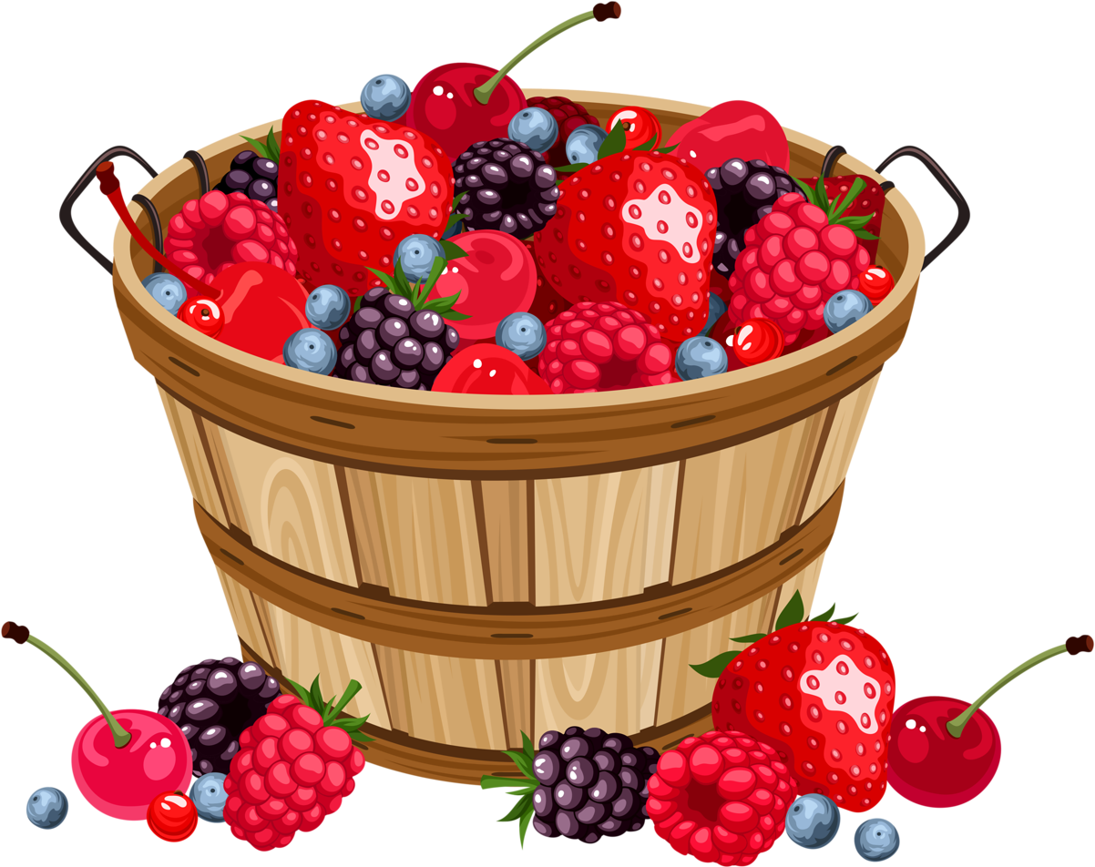 Basket di frutta PNG Download gratuito